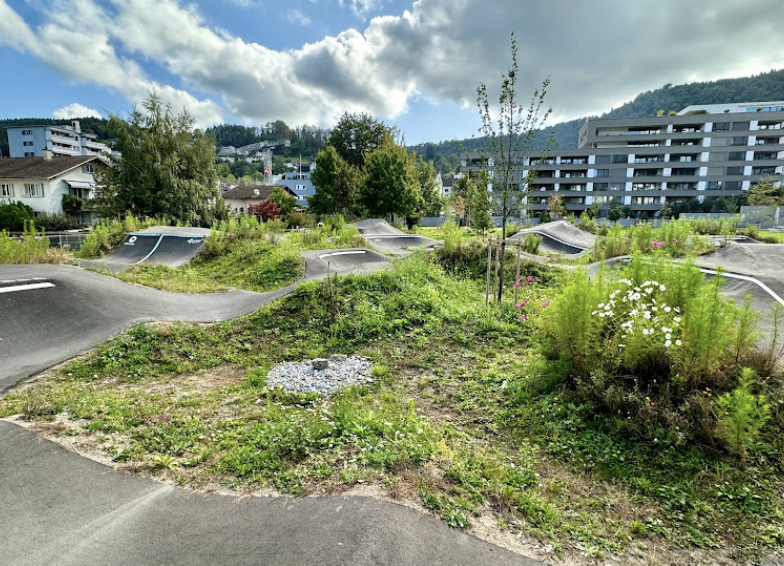 Ebikon pumptrack